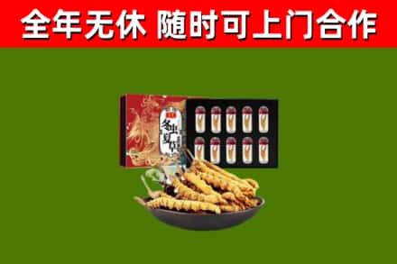 贵港市回收冬虫夏草价格